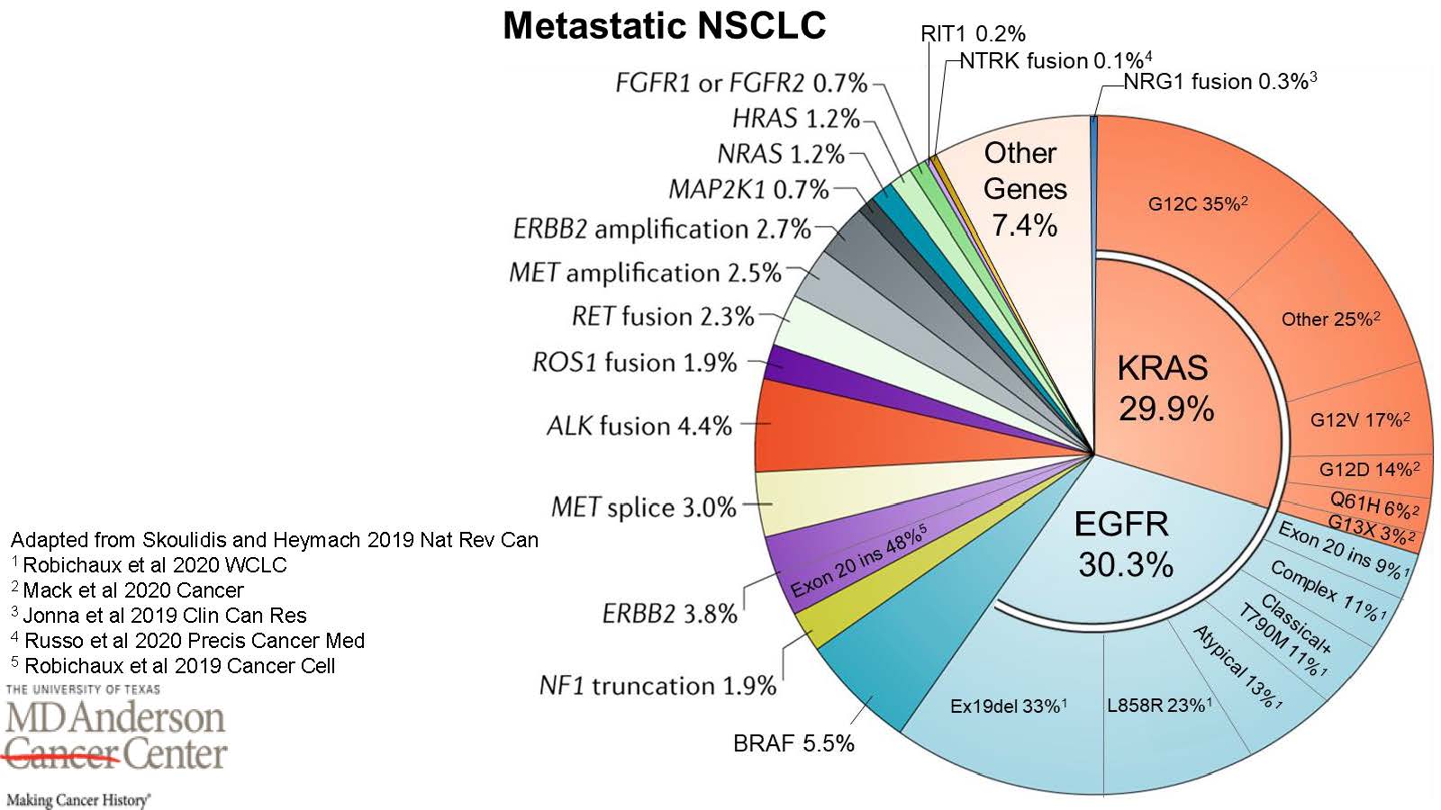 Pie chart graphic showing the various percentages of gene mutations-alterations identified in NSCLC Metastatic Lung Cancer - see text only link for complete alt text